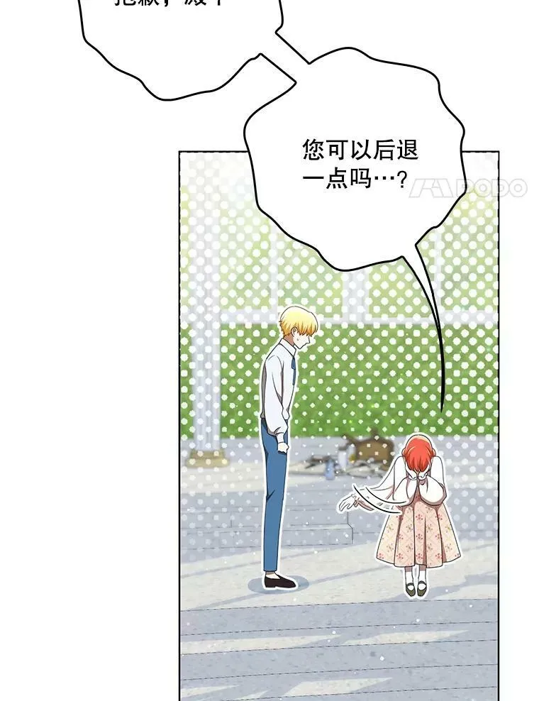 30.净化 第41页