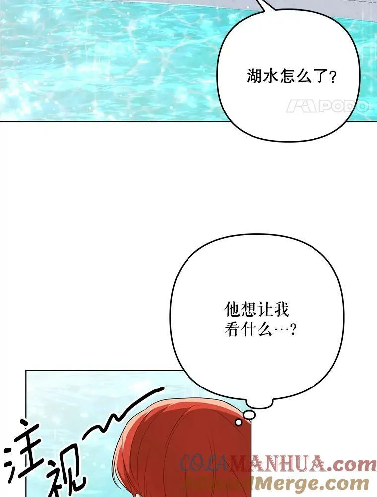 30.净化 第58页