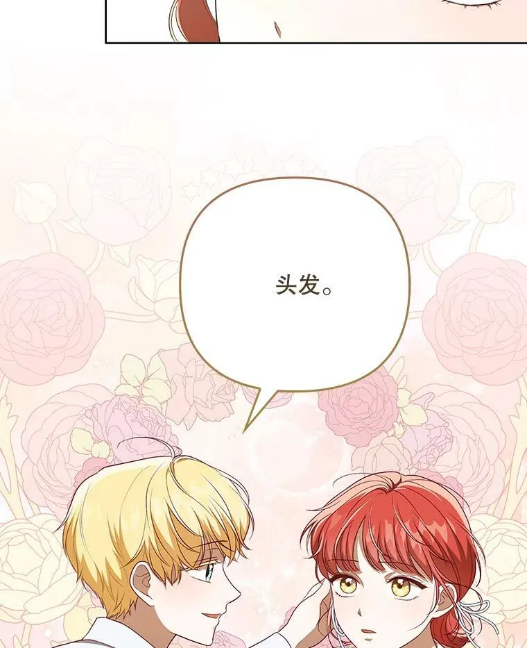 30.净化 第69页