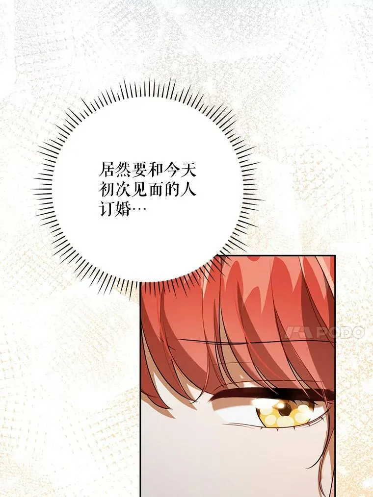 38.订婚 第92页