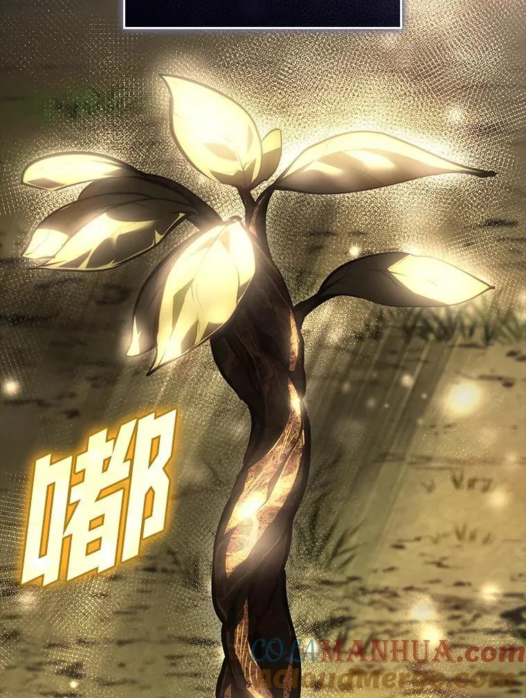 46.世界树之苗 第125页