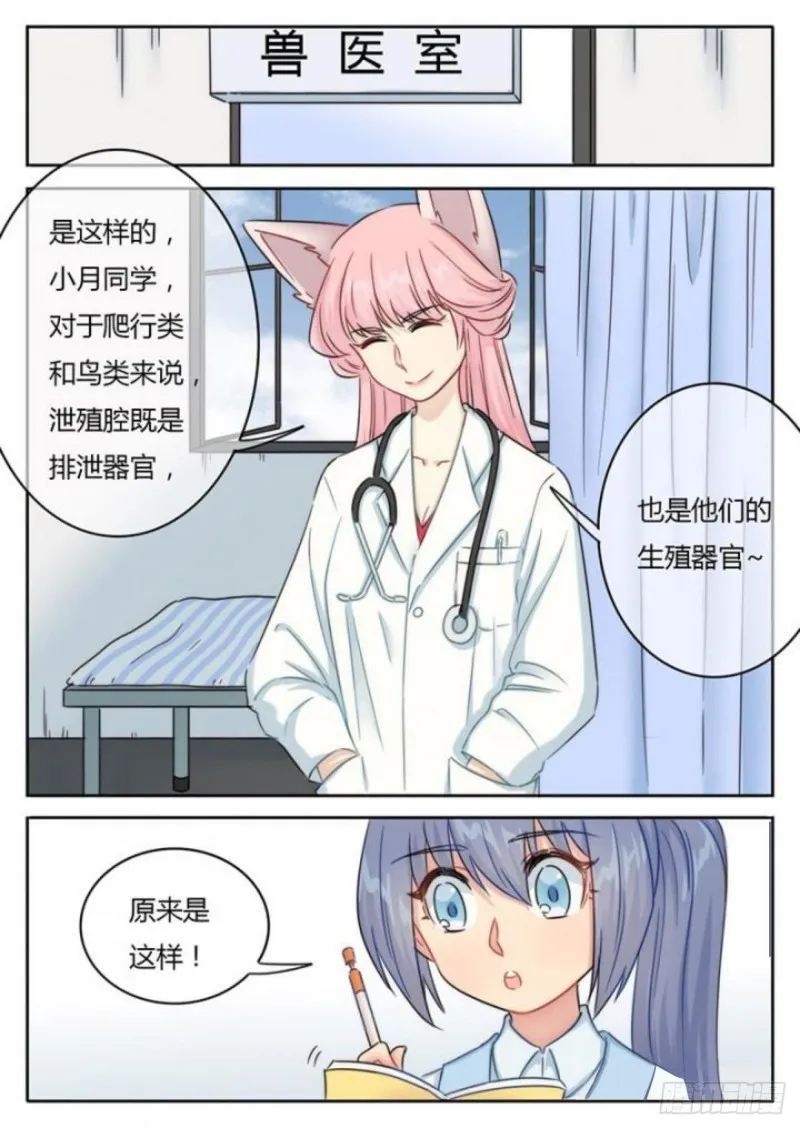 第100话 第5页