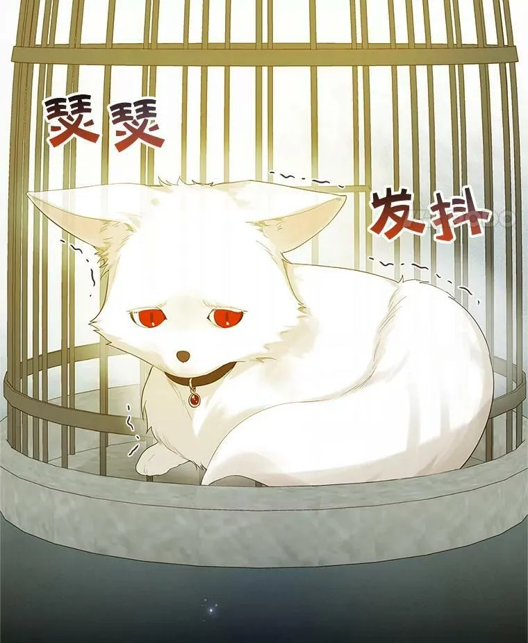 10.练武独处 第114页