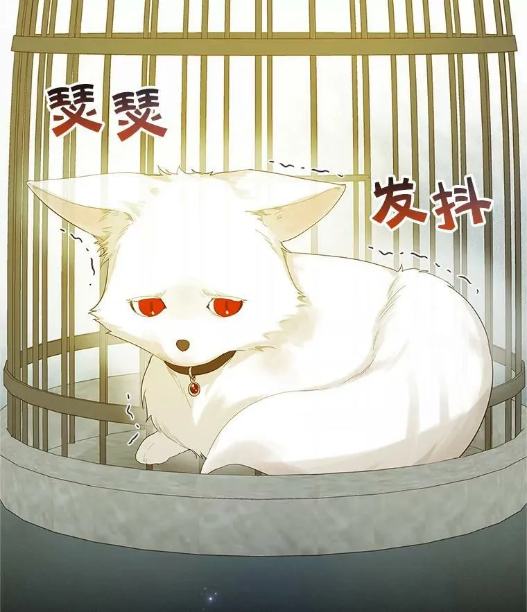 11.兽人 第2页