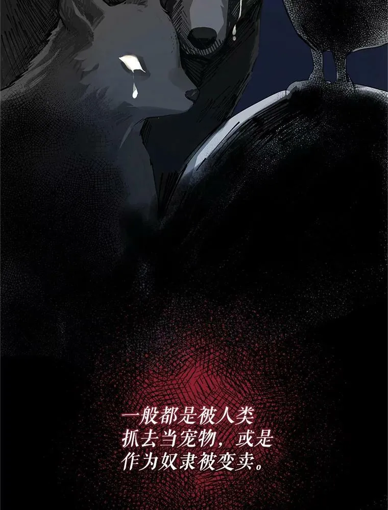 11.兽人 第14页