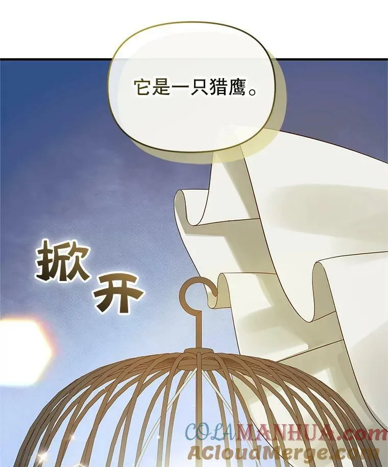 11.兽人 第53页