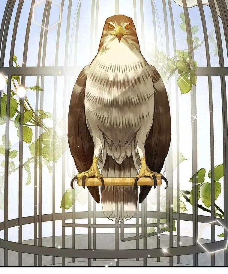 11.兽人 第54页