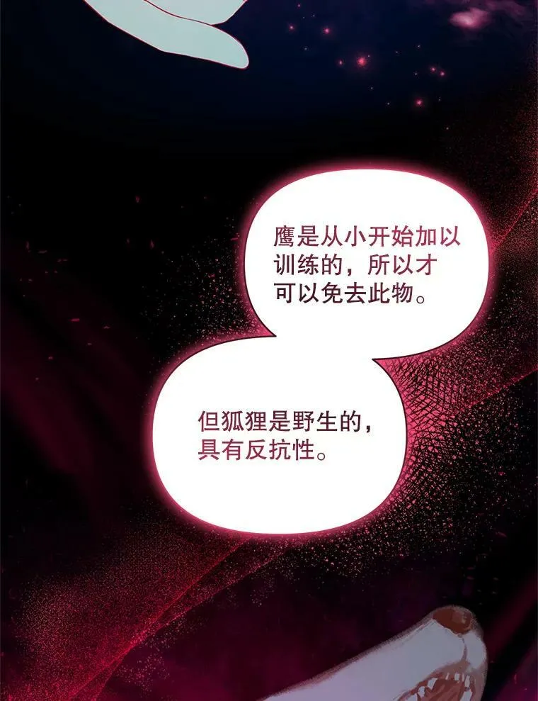 11.兽人 第67页
