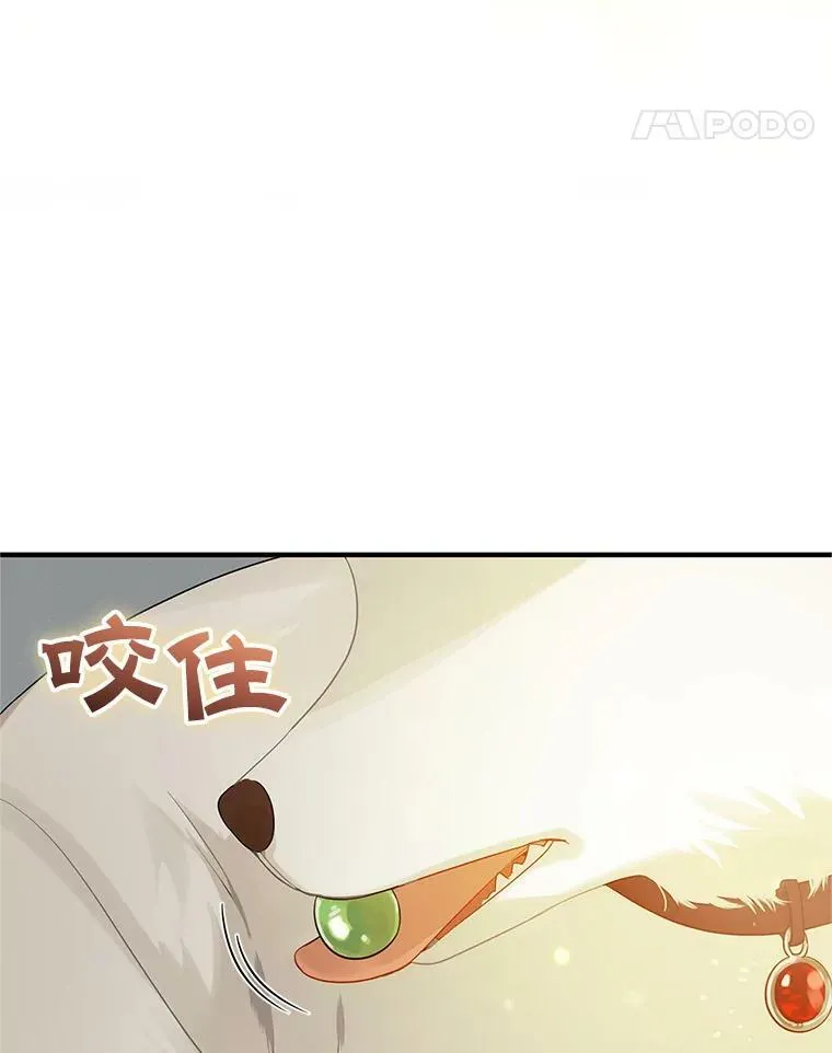 11.兽人 第100页