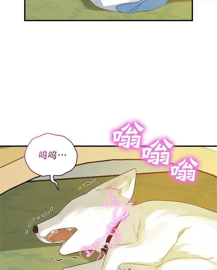 12.攻击 第10页
