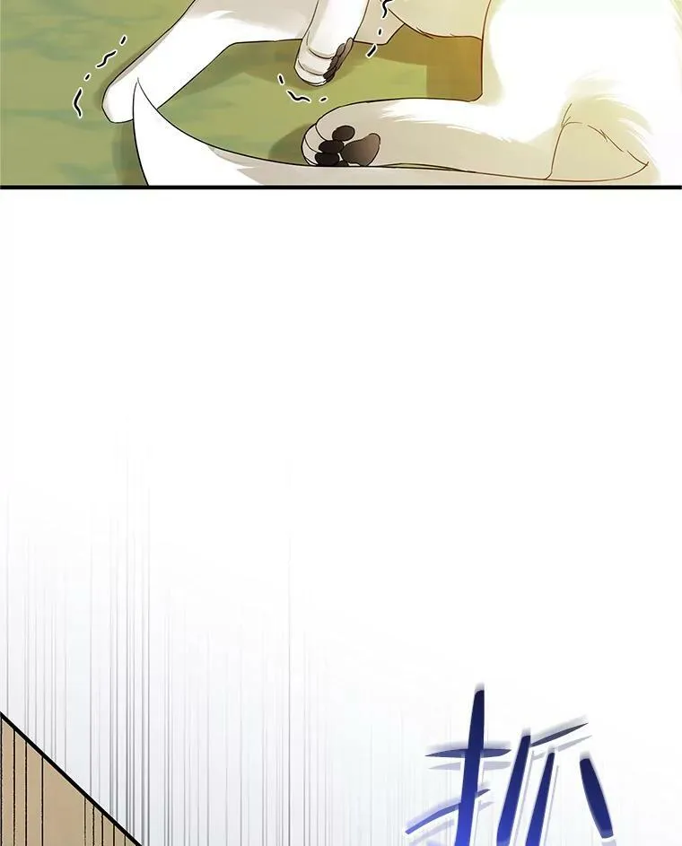12.攻击 第11页