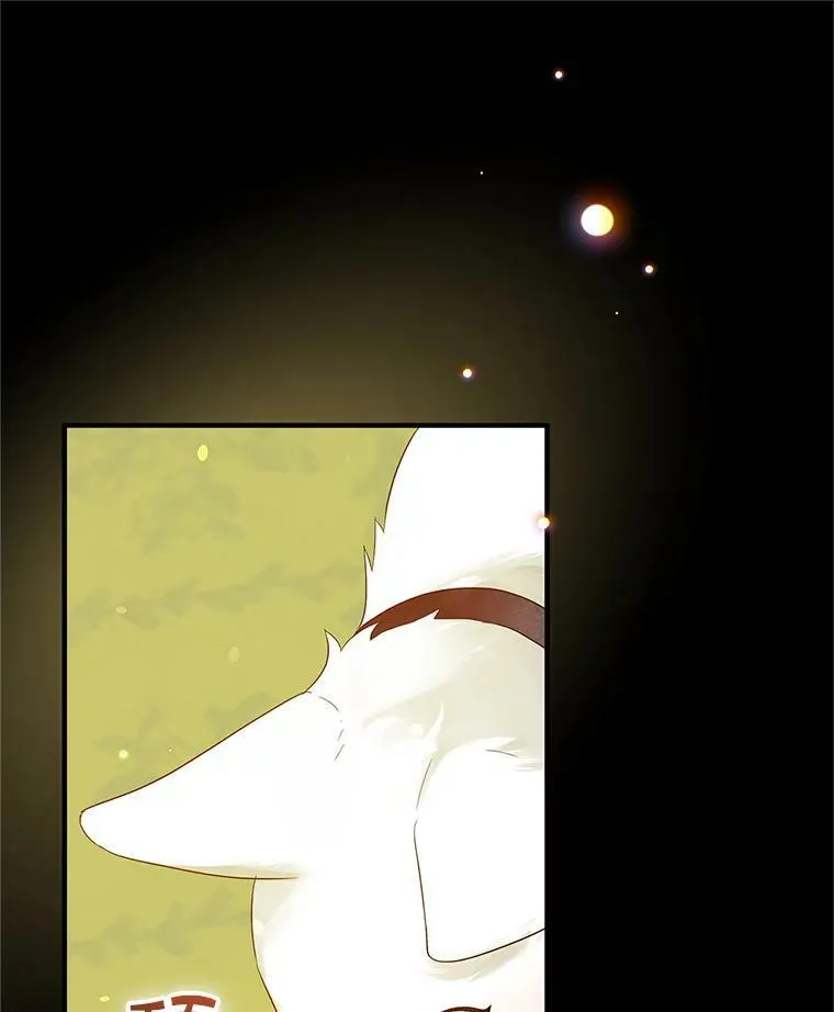 12.攻击 第27页