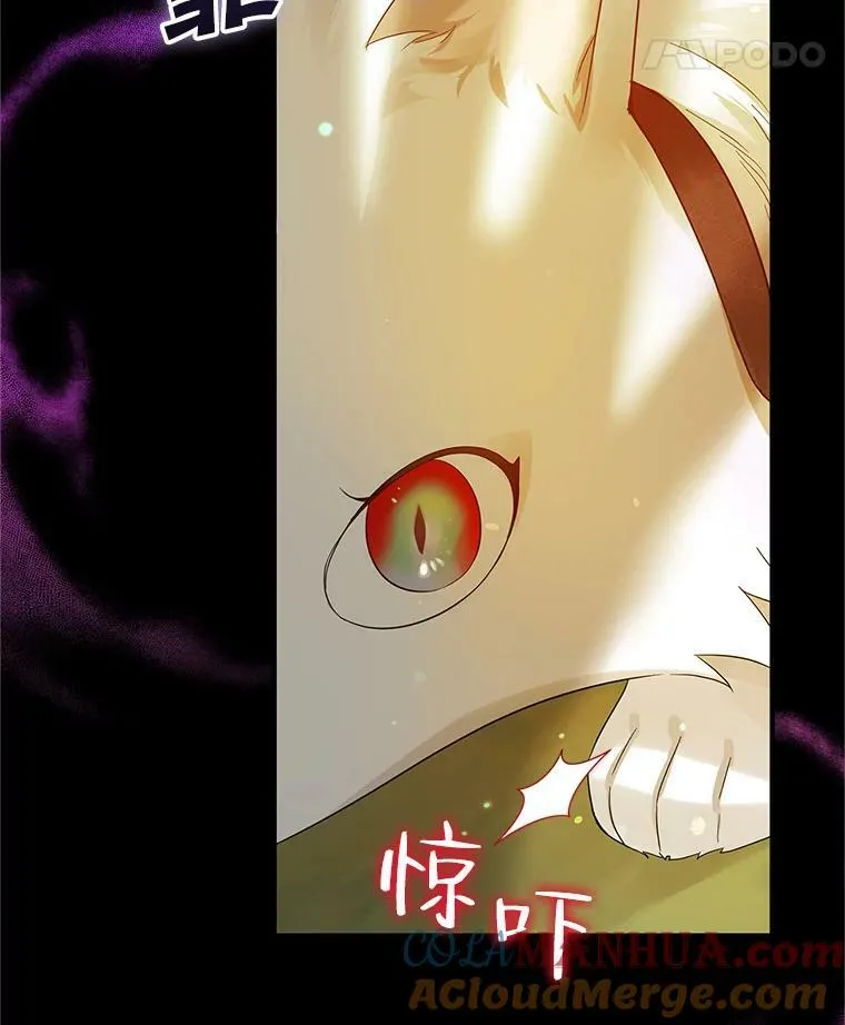 12.攻击 第29页