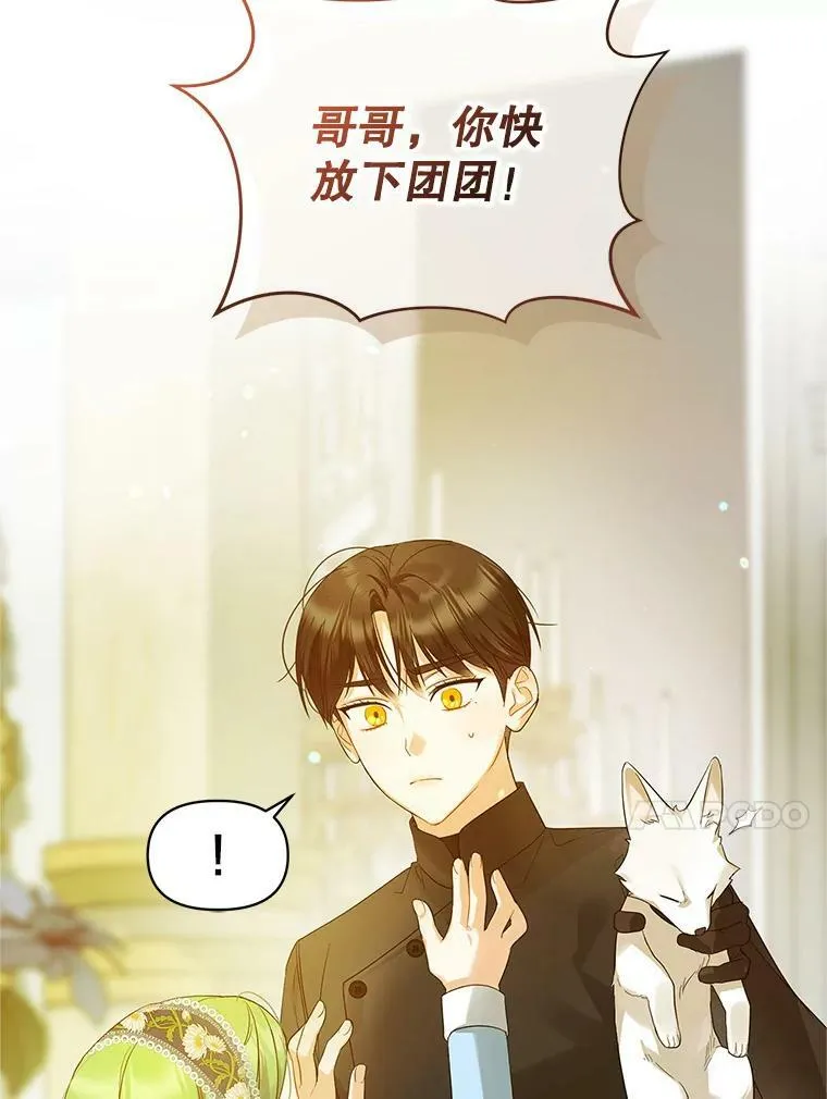 12.攻击 第35页