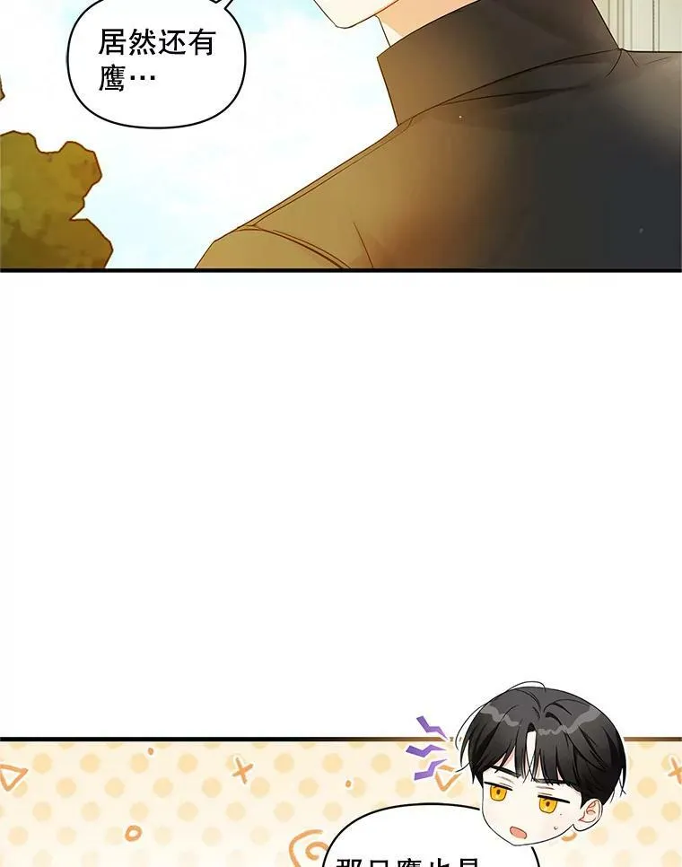 12.攻击 第46页