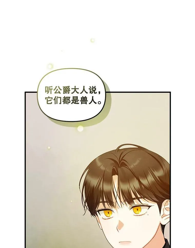 12.攻击 第51页