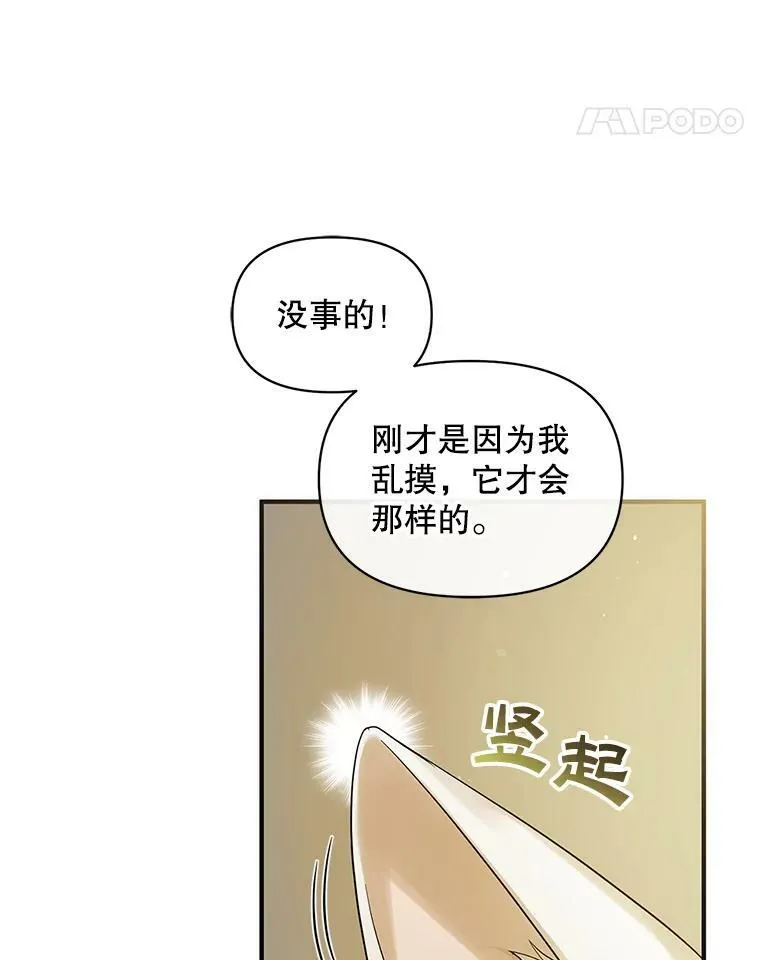 12.攻击 第76页