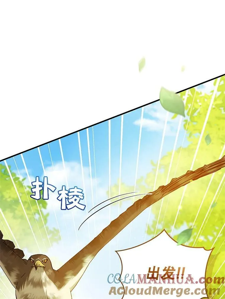 15.野猪突袭 第17页