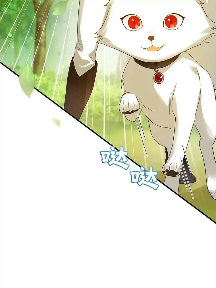 15.野猪突袭 第19页