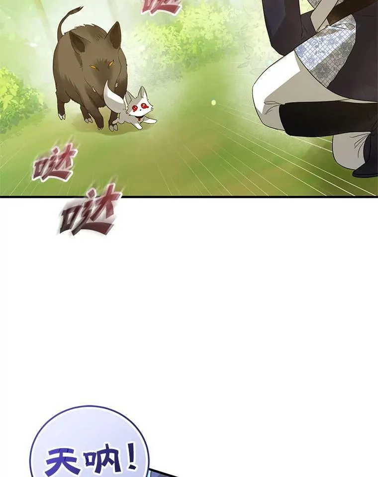 15.野猪突袭 第74页