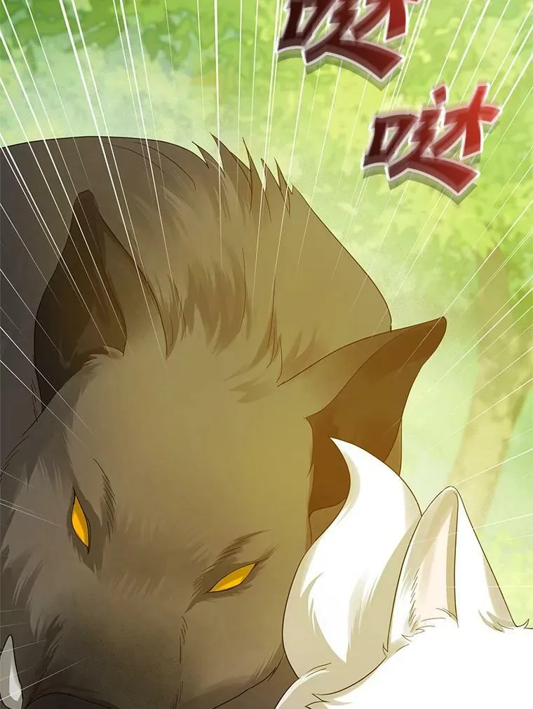 15.野猪突袭 第79页