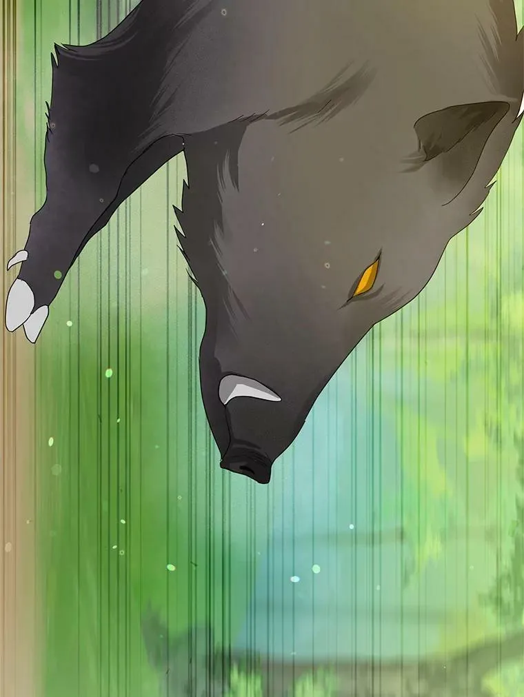 15.野猪突袭 第86页