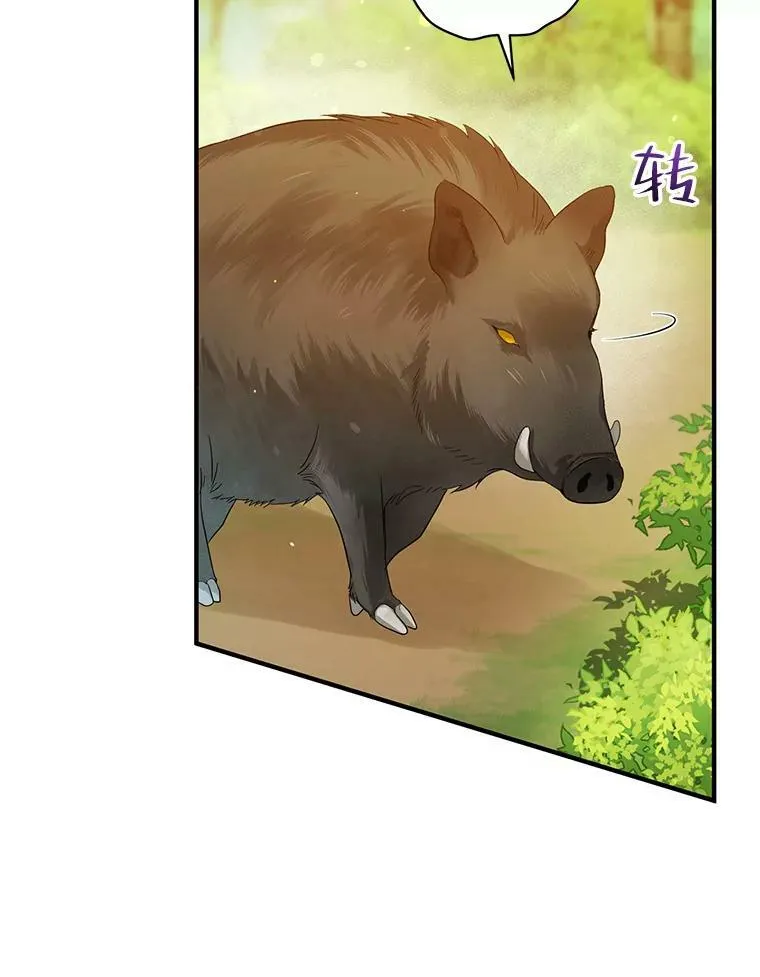 15.野猪突袭 第90页