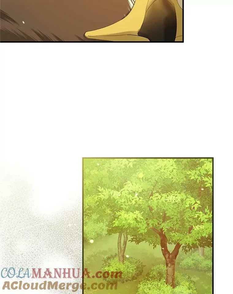 16.危机解除 第5页
