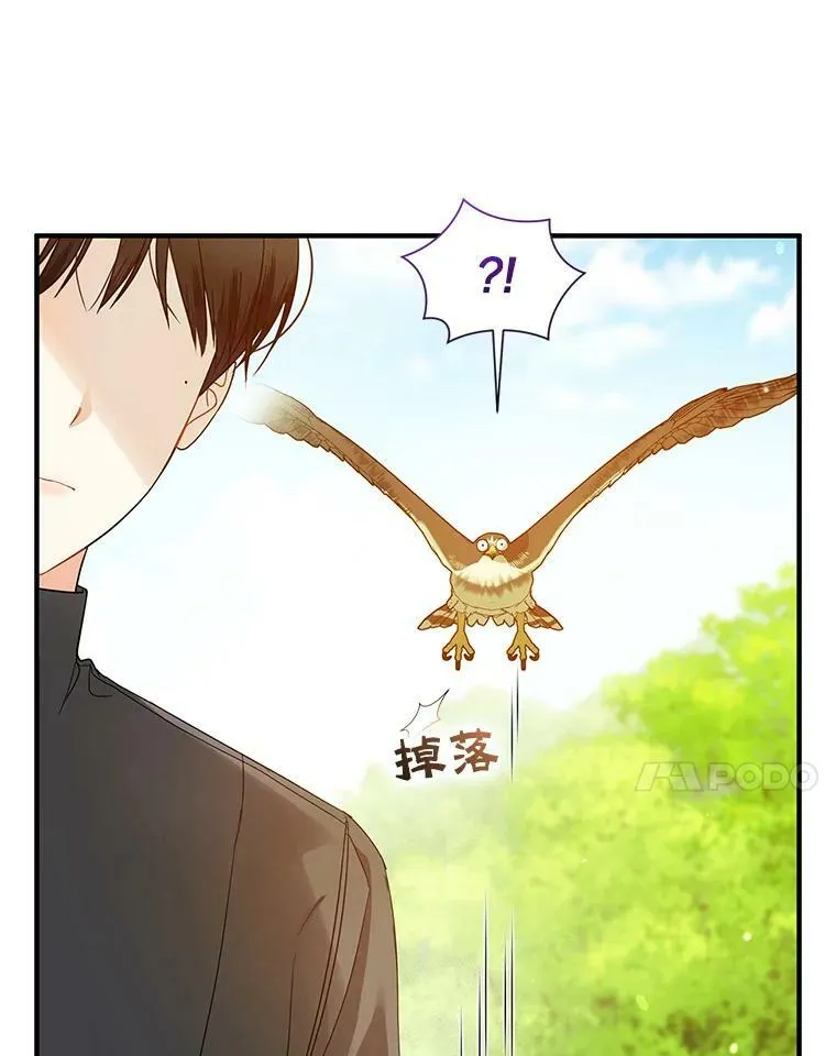 16.危机解除 第7页