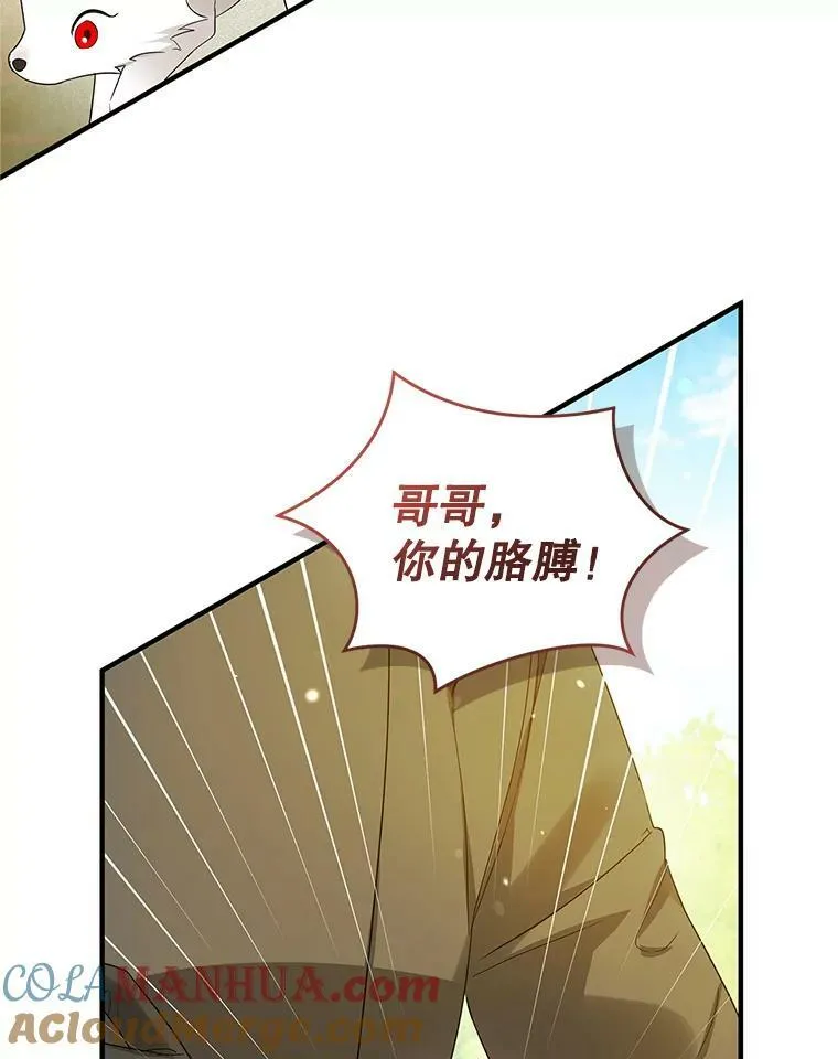 16.危机解除 第13页