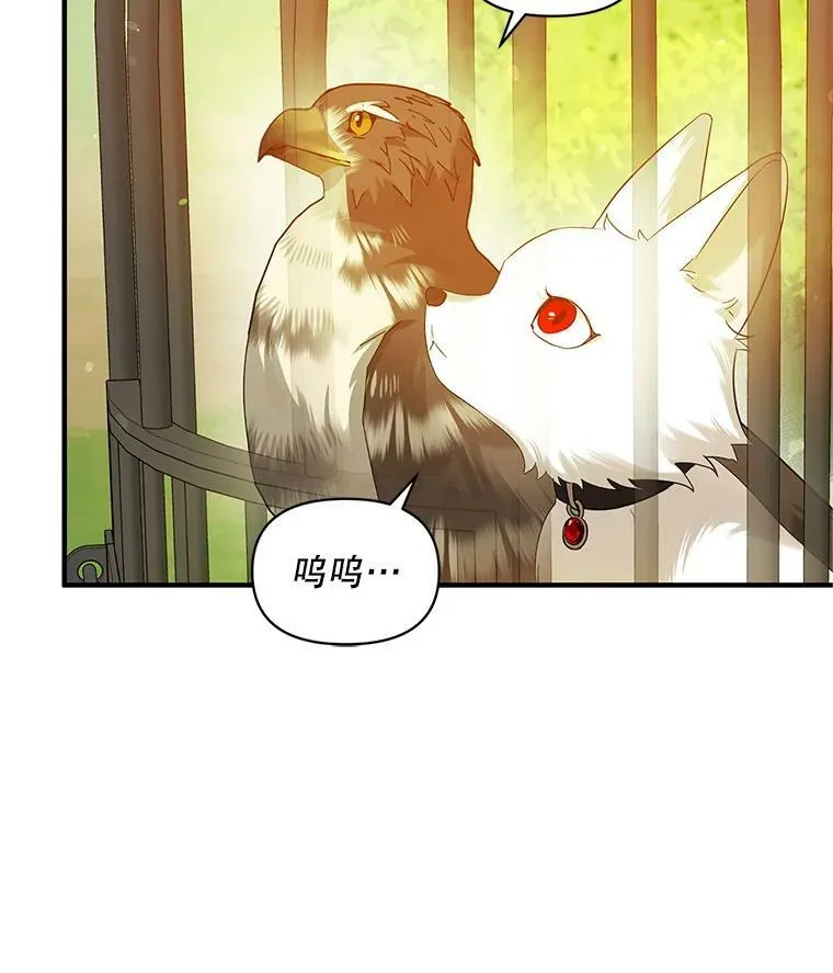 18.与兽人分别 第16页