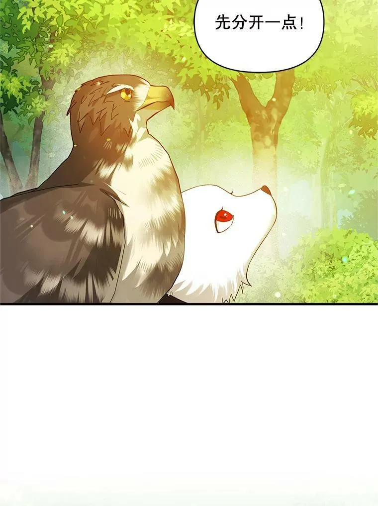 18.与兽人分别 第23页