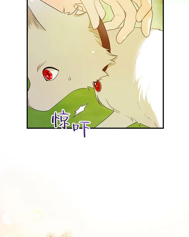 18.与兽人分别 第40页
