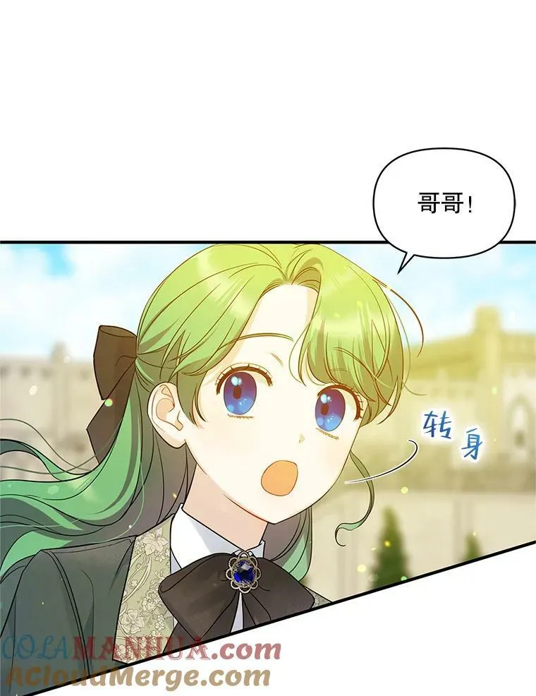 19.手工曲奇 第19页