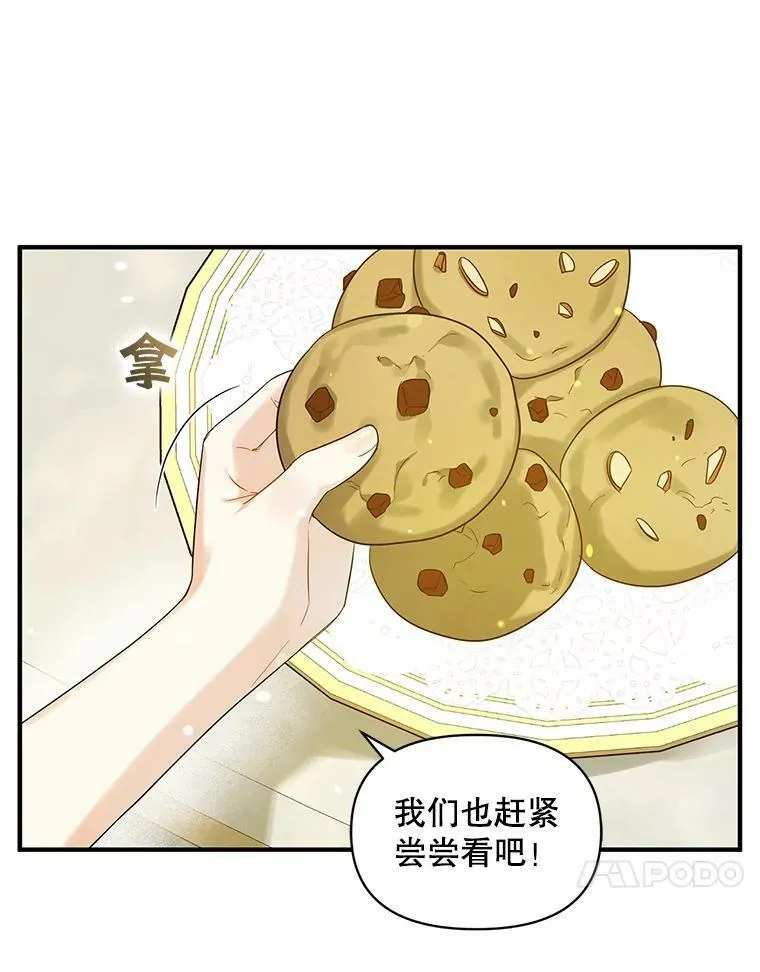 19.手工曲奇 第47页
