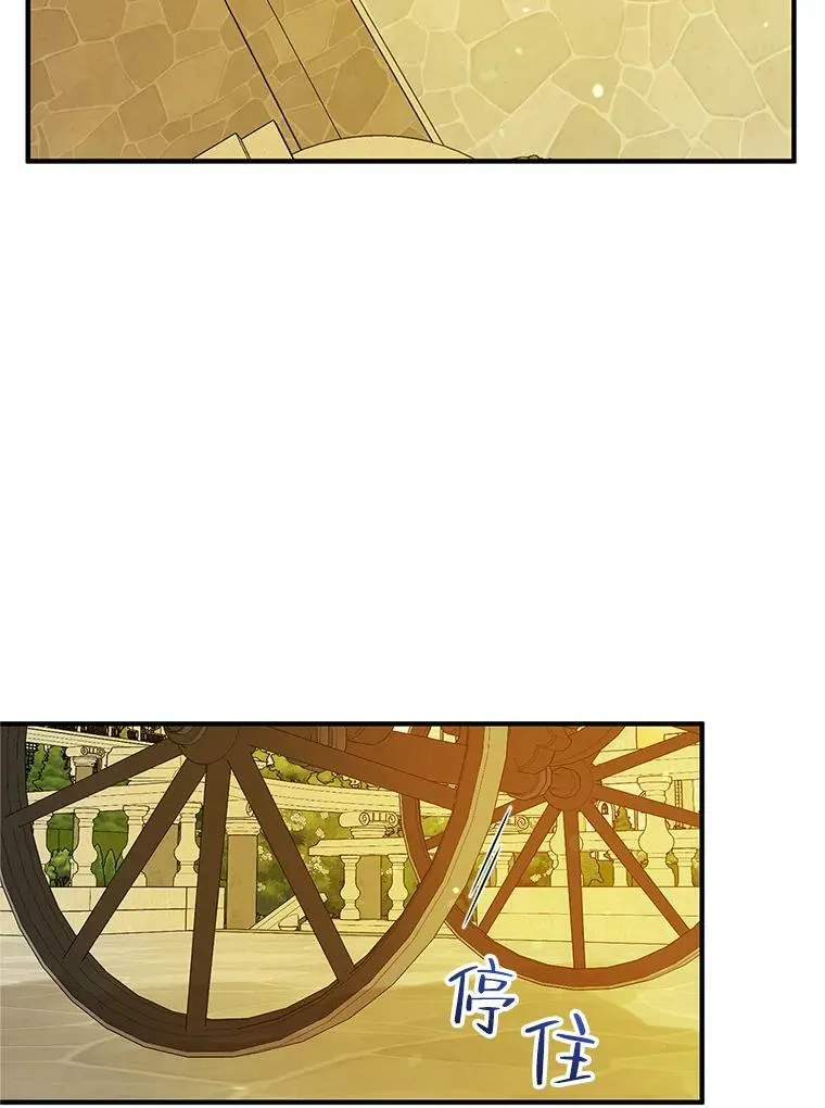 22.诺尔登场 第16页
