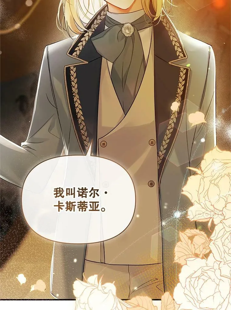 22.诺尔登场 第24页