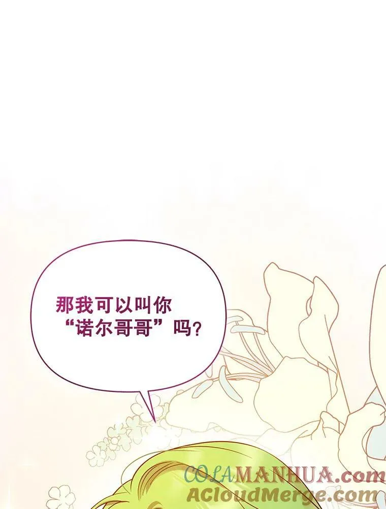 22.诺尔登场 第49页