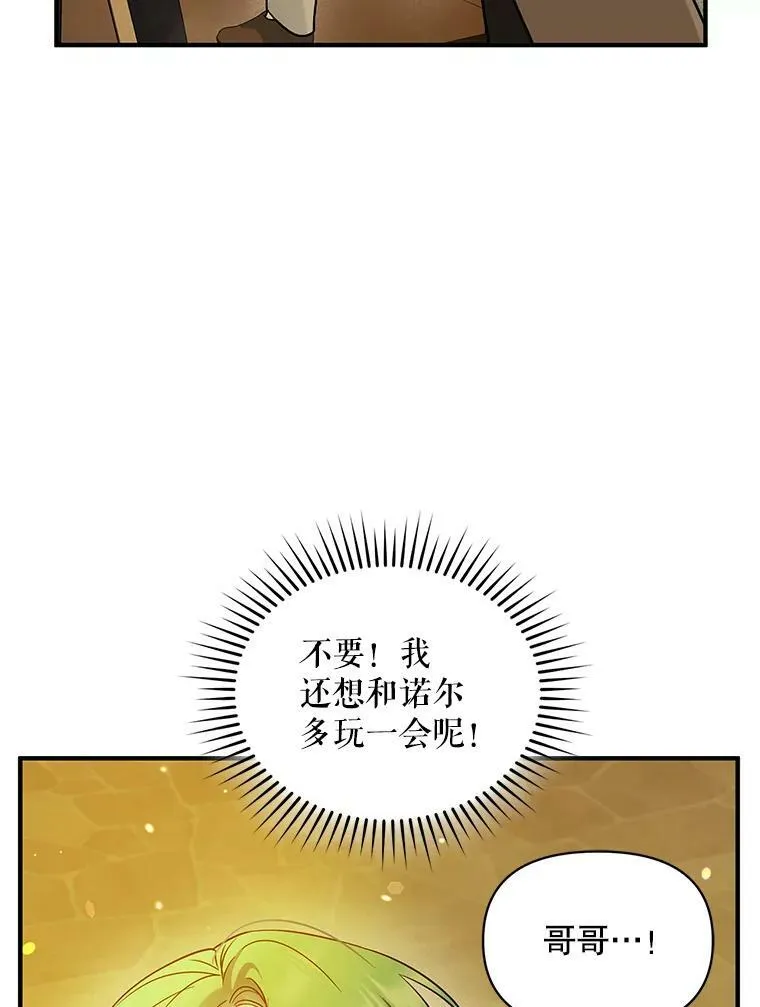 22.诺尔登场 第66页
