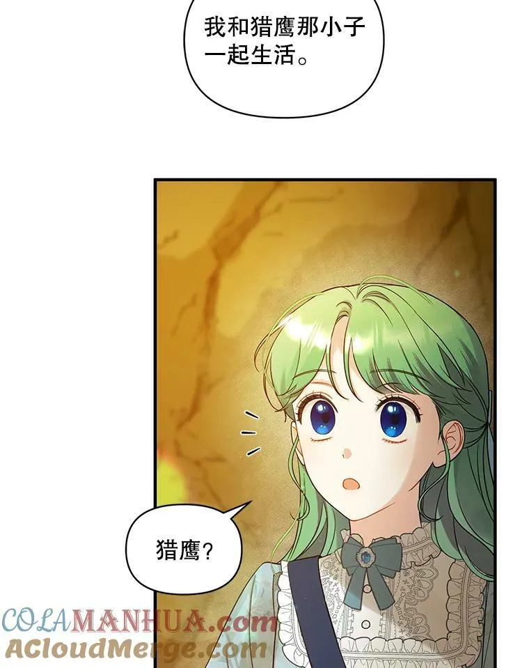 28.重逢 第17页