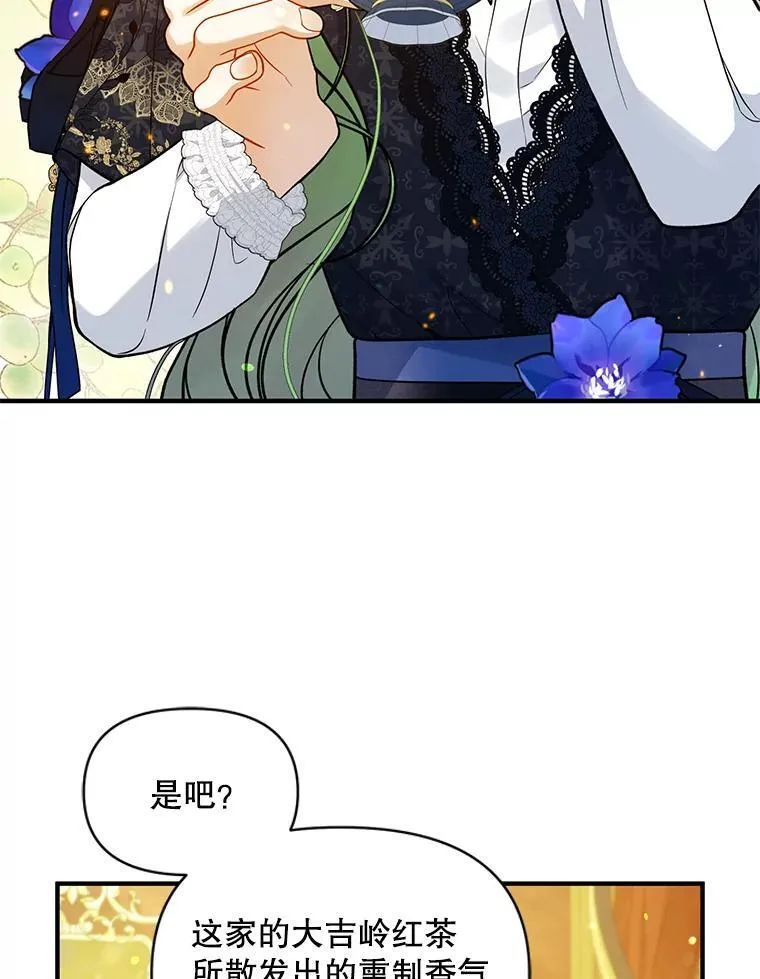 46.偶遇诺尔2 第19页