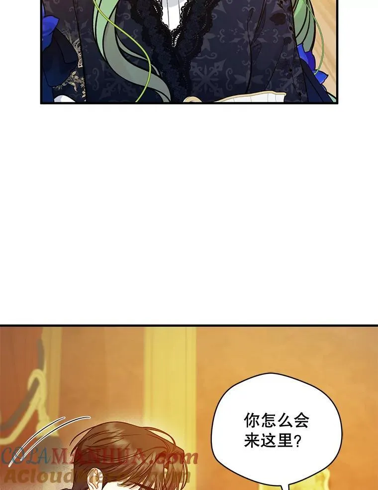 46.偶遇诺尔2 第37页