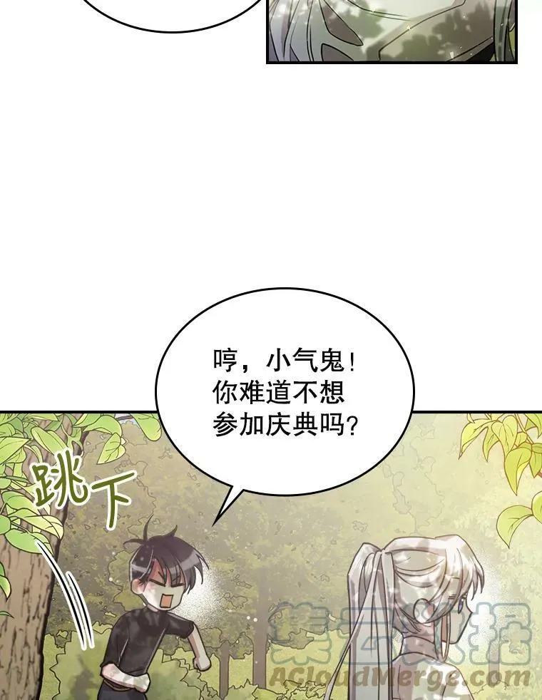 9.夏至庆典 第13页