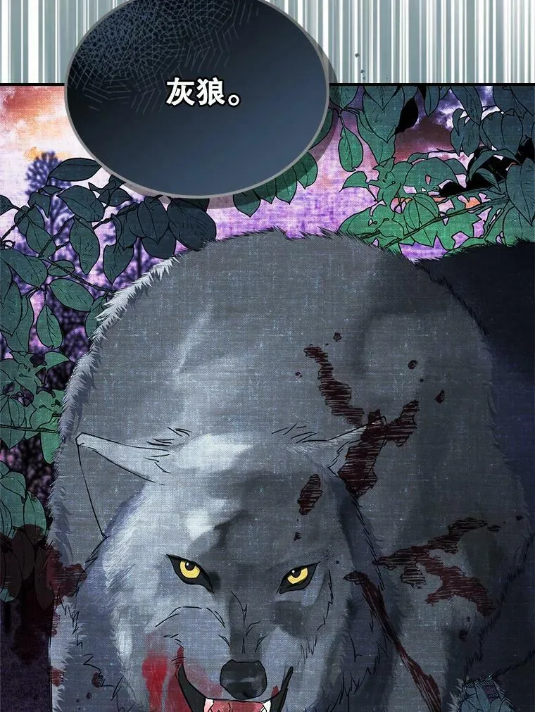 16.卑鄙无耻的剑术 第26页