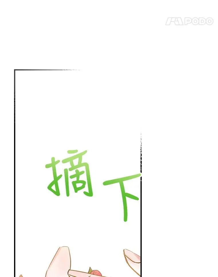 27.花环 第11页
