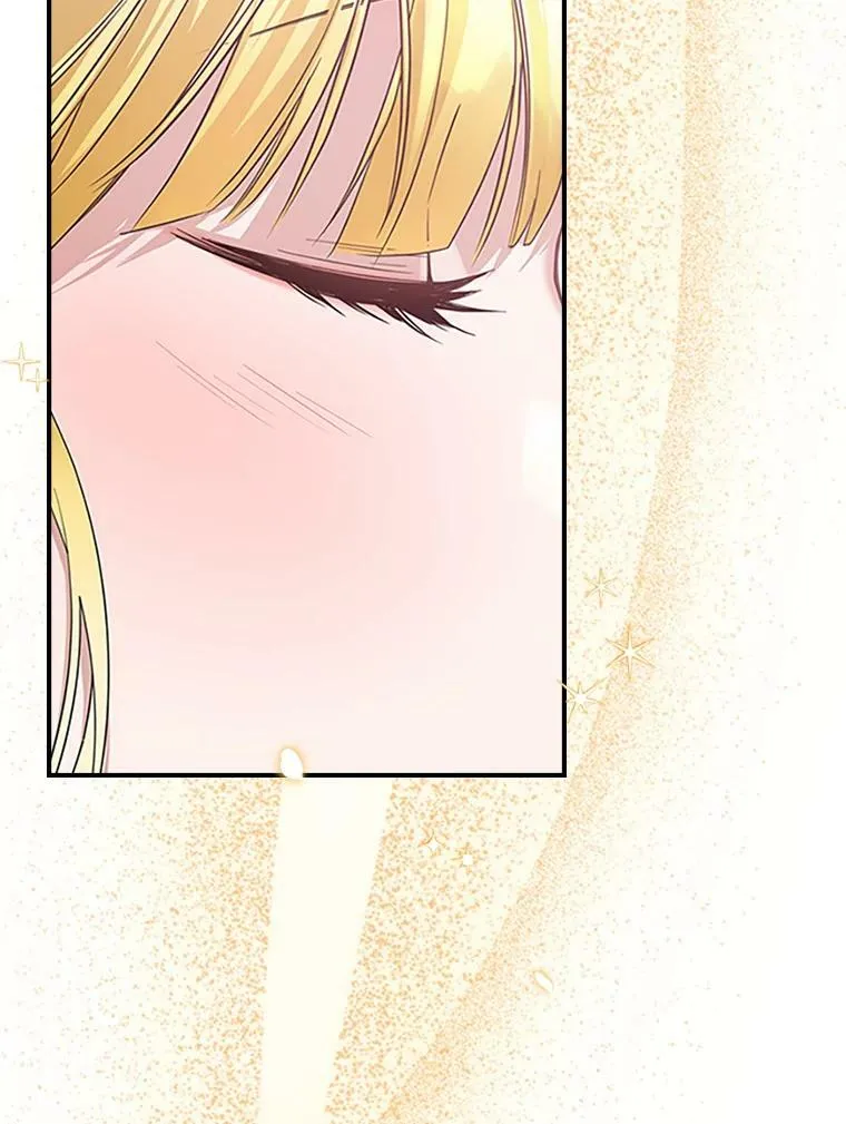 27.花环 第15页