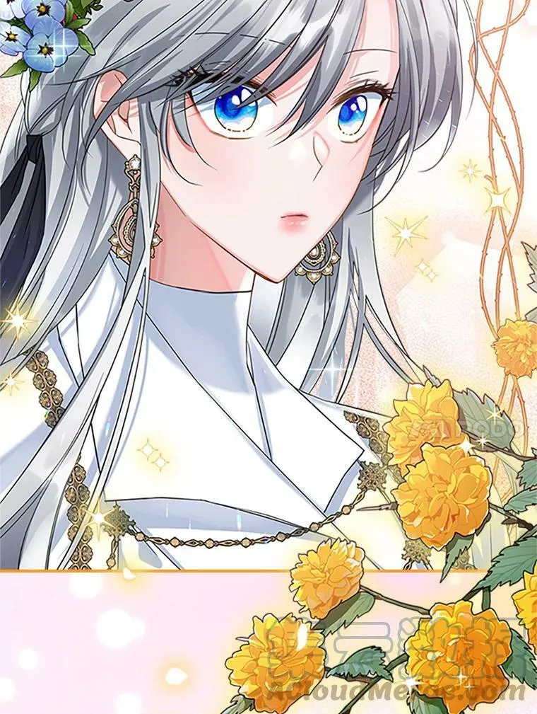 27.花环 第17页