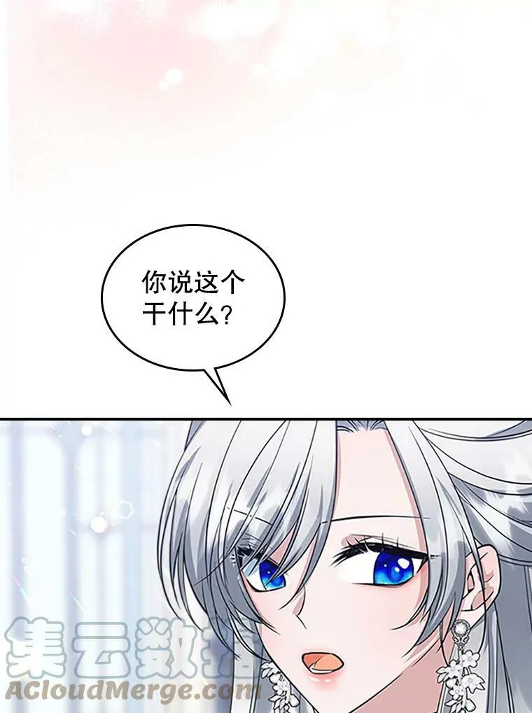 27.花环 第61页