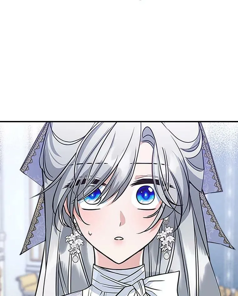 27.花环 第78页