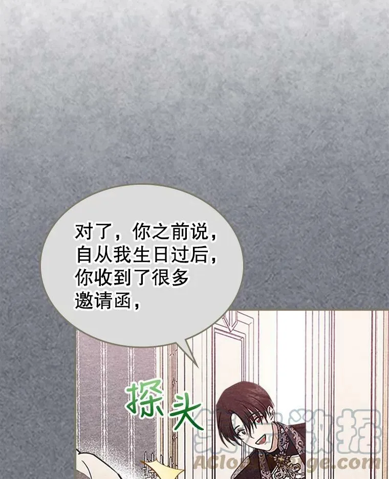 27.花环 第89页